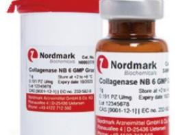 Collagenase NB 6 GMP Grade(콜라게네이즈 NB 6 GMP 등급) 기사 이미지