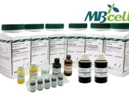 MBcell 미생물 파우더 기사 이미지
