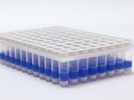 초 간단 DNA 추출 키트 기사 이미지