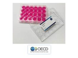 인체조직모델(KeraSkin™) 기사 이미지