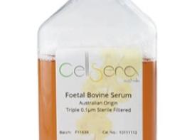 호주산-혈청/멸균 여과 기사 이미지