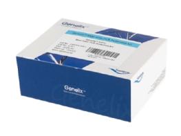 Genelix™ Real-time PCR Detection kit 기사 이미지